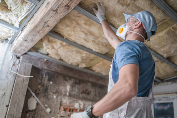 Best Insulation Installation Services in Milton, DE